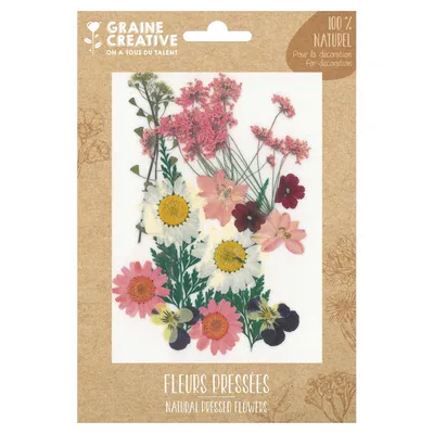 Produktbild von Graine Creative Blumen Set - natürliche getrocknete Blumen Basteln 16 Stück