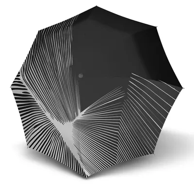 Image de Knirps parapluie de poche parapluie T.200 Medium Duomatic Thunder Snow multicolore