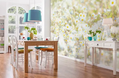 Produktbild von Komar Fototapete "Daisies", weiß/gelb/grün, 368 x 254 cm