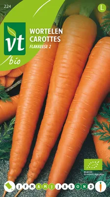 Image de Carottes Flakkeese 2 Graines- Env. 3 gr | VT_224