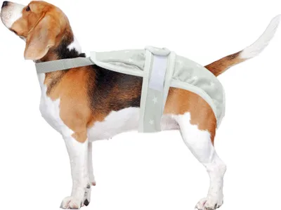 Produktbild von Hundewindeln Für Weibliche Hunde Periodenwindeln Welpenphysiologische Höschen Tierunterwäsche Waschbare Wiederverwendbare Hosen Mit Verstellbaren Trägern Grau Mittel