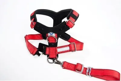Imagen del producto de Arnés de seguridad para perros Silecomplaza, modelo Allsafe Comfort, talla L