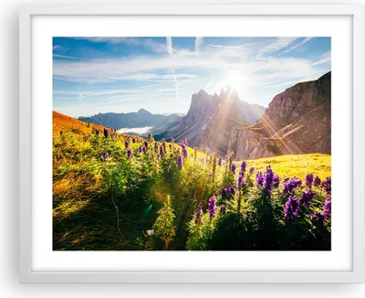 Produktbild von Gerahmtes Poster - Weißer Rahmen - Berge Wiese Blumen - 50x40 cm - Wand Bild - Wanddeko - Wandbilder - Kunstposter - Wandposter - Bilderrahmen - Bilder - Kunstdruck - Wandbild - P2WAA50x40-4008