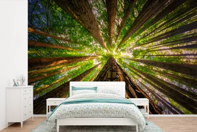 Obrázek produktu pro MuchoWow® Fototapety do obývacího pokoje nebo ložnice tapety vinylové motivy tapety Les - Strom - Dřevo 330x220cm