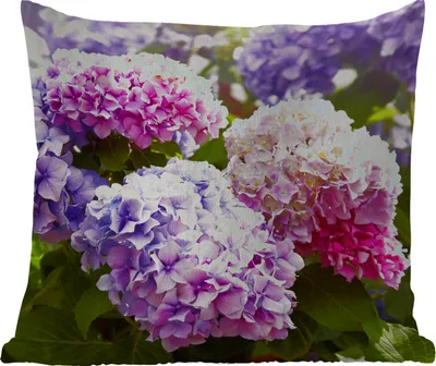 Produktbild von MuchoWow® Outdoor Kissen - Blumen - Hortensie - Rosa - Blätter - Sonne - 40x40 cm - Wetterfest - Lounge Kissen - Kopfkissen - Interieur - Polster mit Bild