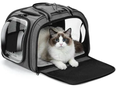 Image de Sac de transport pour chat avec fenêtre de visualisation, respirant, robuste, de couleur grise, taille L (46 x 36 x 34 cm)