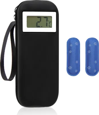 A black insulin cooling bag with a digital thermometer display and two blue cooling packs with snowflake patterns.
