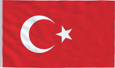 Produktbild von vidaXL Flagge der Türkei 90 x 150 cm