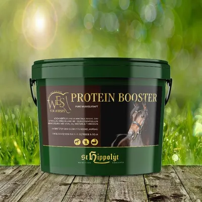 Produktbild von St. Hippolyt WES for Horses - Protein Booster 4 kg