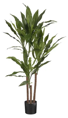 Produktbild von Mica Decorations Dracaena Kunstpflanze - H100 x Ø70 cm - Grün