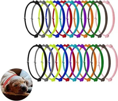 Image de 24 colliers d'identification réglables pour chatons et chiots