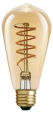 A close-up studio shot of a single Edison-style LED light bulb.