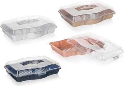 Produktbild von BANQUET Kunststoffschale mit Deckel TASTY 44,5 x 34 x 10 cm, Mix