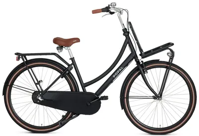 Produktbild von Popal Daily Dutch Basic+ N3 Hollandrad - Citybike - Damen - 47 centimeter - Mattschwarz