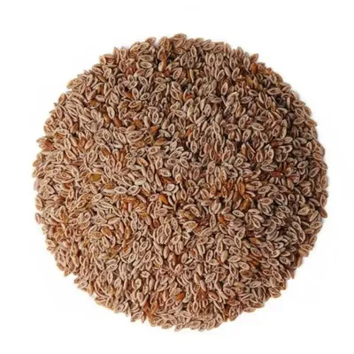 Immagine prodotto di Fibra vegetale di psillio 50 g