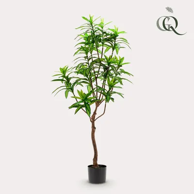 Image de Green boutiQ - Plante artificielle - Dracaena - Drakenboom - 130 cm - Vert - Sans entretien - Haute qualité