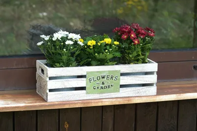 Produktbild von 3 Pflanzentöpfe in Holzkiste im Shabby Look, Kräutertopf, Zink Blumentopf, Pflanzgefäß, Gartendeko für Draußen