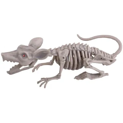 Produktbild von Skelett Ratte - Animiert mit Licht und Ton | 38 cm Halloween Dekoration
