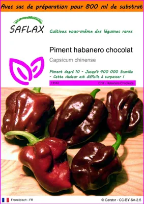 Image de SAFLAX Garden in the bag - Piment habanero chocolat - 10 graines - Capsicum