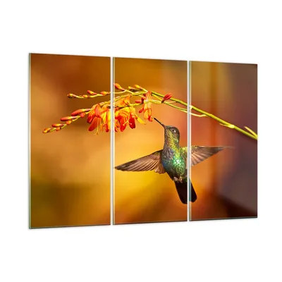 Produktbild von Bilder auf glas - Kolibri Vogel Sommer - 165x110cm - Glasbilder - Wandbilder - Kunstdruck - zum Aufhängen bereit - Wanddekoration aus Glas - Glas Bilder - Wandbild auf Glas - 3 Teile - GCE165x110-3490