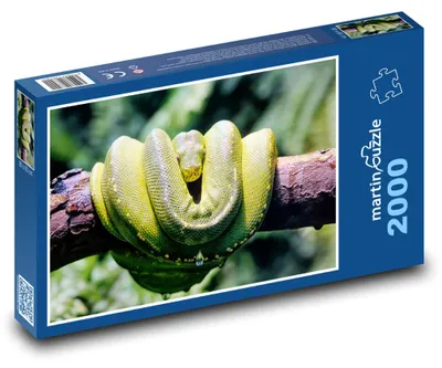 Obrázek produktu pro martinpuzzle - Puzzle 2000 - Krajta - had, plaz