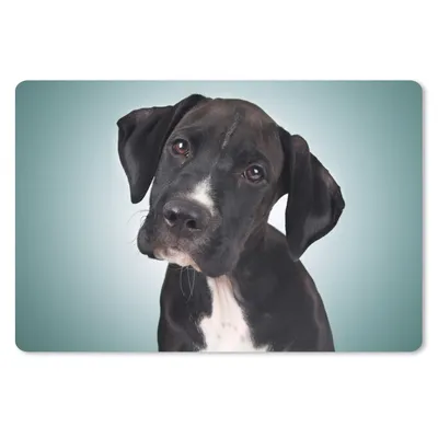 Produktbild von MuchoWow® Mauspad Mousepad Süßer schwarzer und weißer Hund 27x18 cm - Mousepads - Maus Mat - Pad - Mausunterlage - Büroartikel - Desk Matten