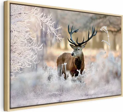 Produktbild von Italienischer Leinwand Leinwandbild - Deer in the Cold 90x60 cm Tiere g-C-0057-b-b