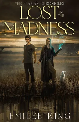 Produktbild von Lost in the Madness
