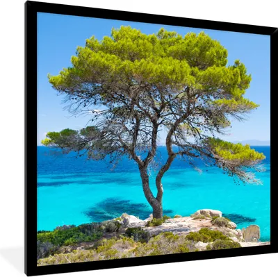 Produktbild von MuchoWow® Gerahmtes Poster Baum - Meer - Tropisch - Sommer 40x40 cm - Poster mit Schwarzem Bilderrahmen Wandposter Rahmen Foto Bilder - Mit Rahmen - Wanddekoration Schlafzimmer