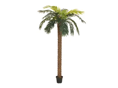 Produktbild von EUROPALMS Phönix Palme deluxe, Kunstpflanze, 250cm (82509724)