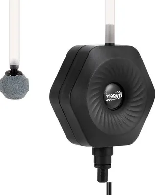 Image de Petite pompe à air pour aquarium avec diffuseur et tuyau