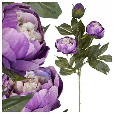 Produktbild von Topoblu Künstliche Pfingstrose Lila Dekozweig 75 cm