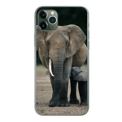 Produktbild von MuchoWow® Handyhülle Schutzhülle Hülle für iPhone 11 Pro Max Elefant - Tiere - Flachland - Natur Silikon Softcase Handy Hülle - Schutz
