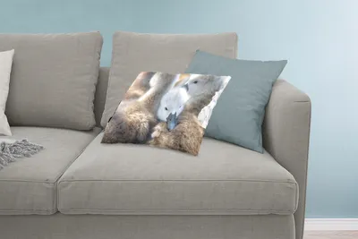 Produktbild von MuchoWow® Zierkissen Sofakissen Wohnzimmer Dekokissen 60x40 cm Schwäne - Licht - Küken - Kopfkissen - Polster mit Foto