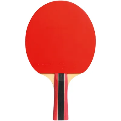 Image de Cornilleau Rakety Sport 300, 433000
