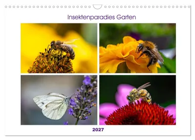 Produktbild von Insektenparadies Garten (Wandkalender 2027 DIN A3 quer), CALVENDO Monatskalender