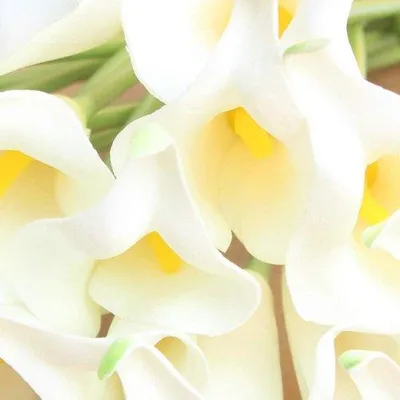Produktbild von Famanu Kunstblumen Calla-Lilie Brautstrauß - 24 Stück Kunstblumen - Echte Berührung - Weiß mit Gelbem Griff