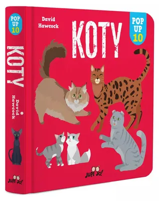 Produktbild von Koty. POP-UP 10