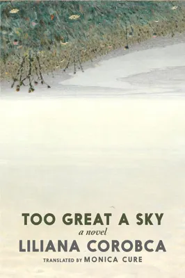 Produktbild von Too Great a Sky