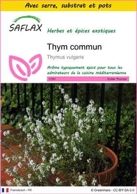 Image de SAFLAX Ensemble de culture - Thym commun - 200 graines - Thymus