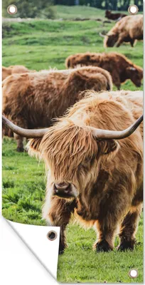 Produktbild von MuchoWow® 30x60 cm Outdoor-Poster Gartendeko Sichtschutz Garten Poster für den Garten  Schottische Highlander - Tiere - Gras