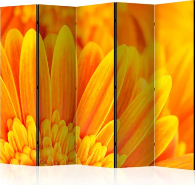 Image de Cloison acoustique Paravent photo fleurs 225 x 172 cm imprimé recto-verso sur toile intissé Cloison en mousse acoustique Paravent espagnol Brise-vue Bureau à domicile Nature Botanique orange b-C-0470-z-c