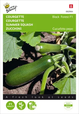 Artikelbild 2 von 'Zucchini Black Forest F1' aus der Kategorie Zucchinisamen