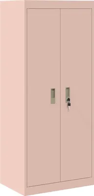 Image de Armoire de rangement vidaXL rose 60 x 40 x 140 cm en acier
