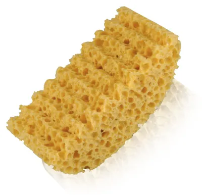 Image de Éponge NIGRIN