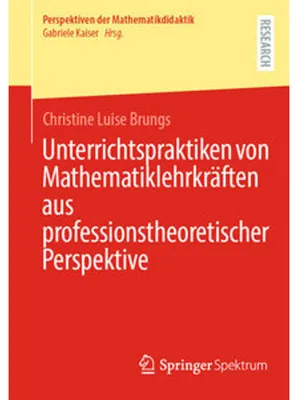 Image de Unterrichtspraktiken von Mathematiklehrkräften aus professionstheoretischer Perspektive