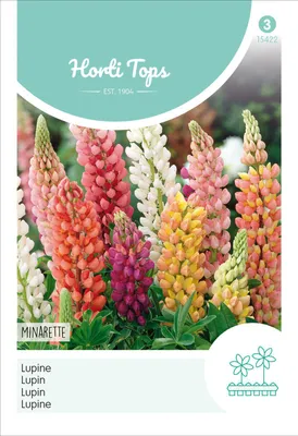 Artikelbild 2 von 'Lupine Minarette Mischung' aus der Kategorie Lupinensamen