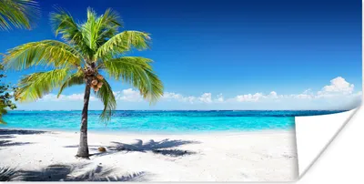 Produktbild von MuchoWow® Poster Palme - Strand - Meer - Sommer 40x20 cm - Poster für die Wand - Poster Schlafzimmer