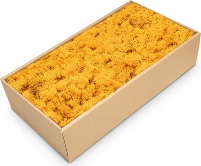Produktbild von Islandmoos Orange, konserviert, verpackt im Karton mit ca. 500g