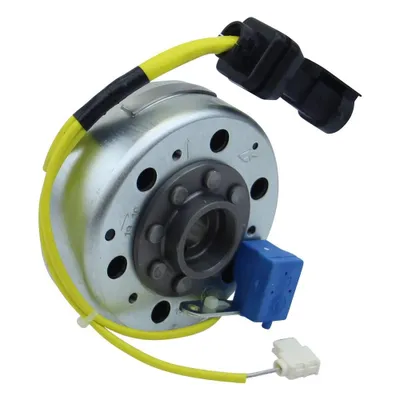 Produktbild von Original Piaggio Lichtmaschine (Zündung/Stator) 58059R mit Polrad für Piaggio X 8 125